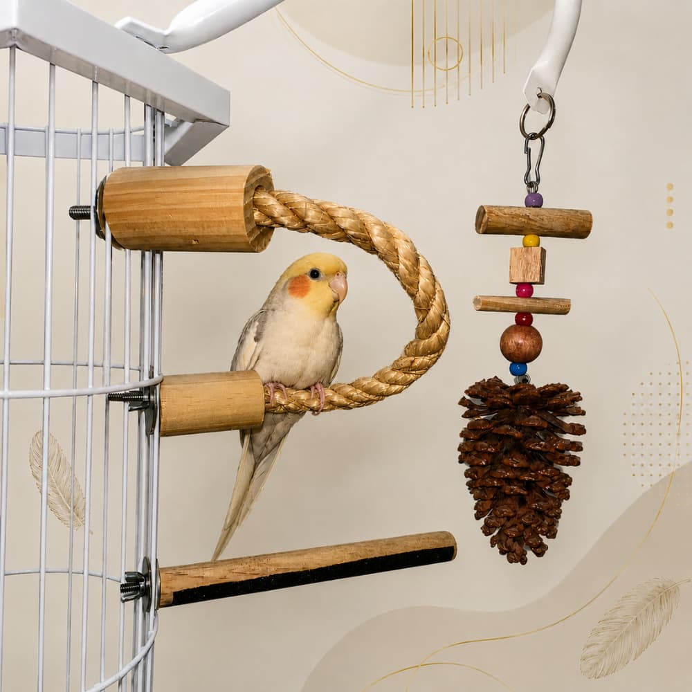 Poleiro Lixa P + Penduricalho Pinha + Sisal 30cm