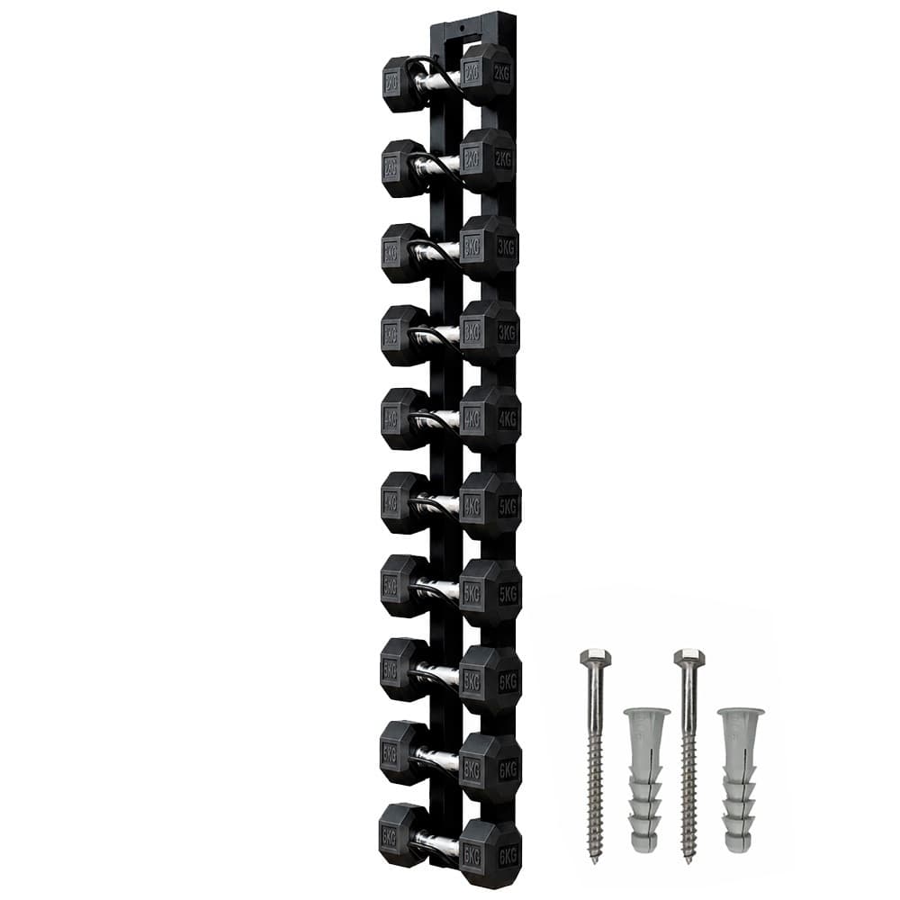 Suporte de Halteres de Parede 10 Abas (5 Pares) Organizador para Casa e Academia, Porta Halteres Vertical com Ganchos, R