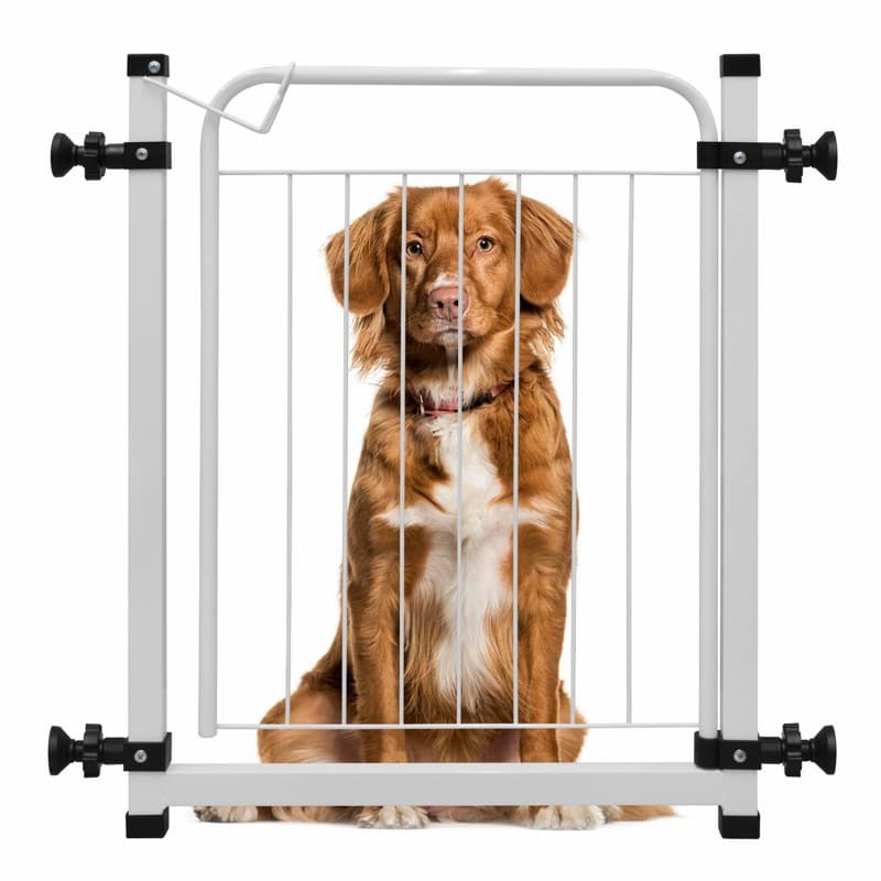 Portão Pet Grade Aramado Pro Reforçado !Proteção Para Cães Portão para Bebes Segurança Para Crianças Com Extensor de10cm