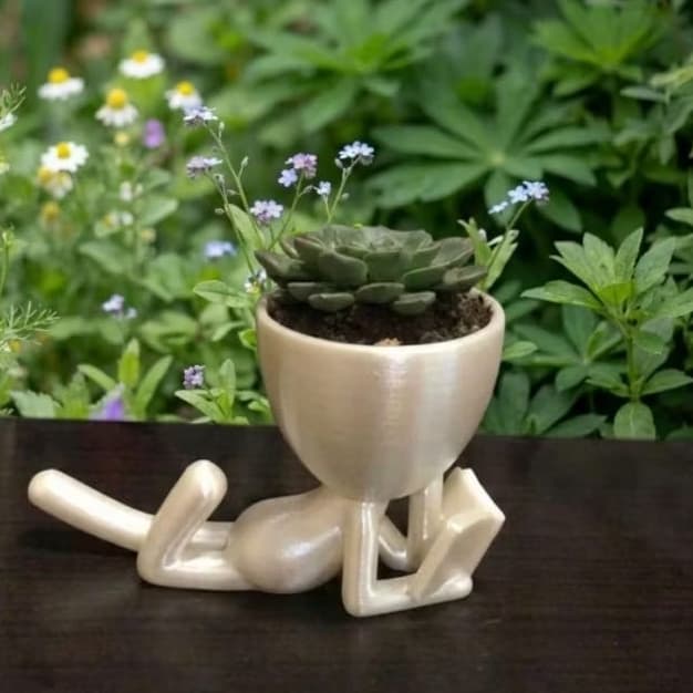 Vaso Decorativo Perolado - Vaso para Plantinhas - Vaso pra Suculentas - Vaso Robert Plant - Decoração Geek