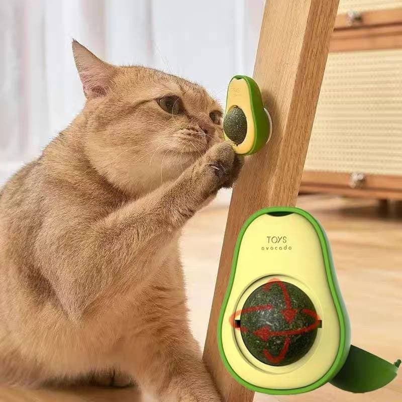 Abacate De Brinquedo Para Gatos Com Catnip Erva Gato Natural 360° Giratória–Limpeza Dental