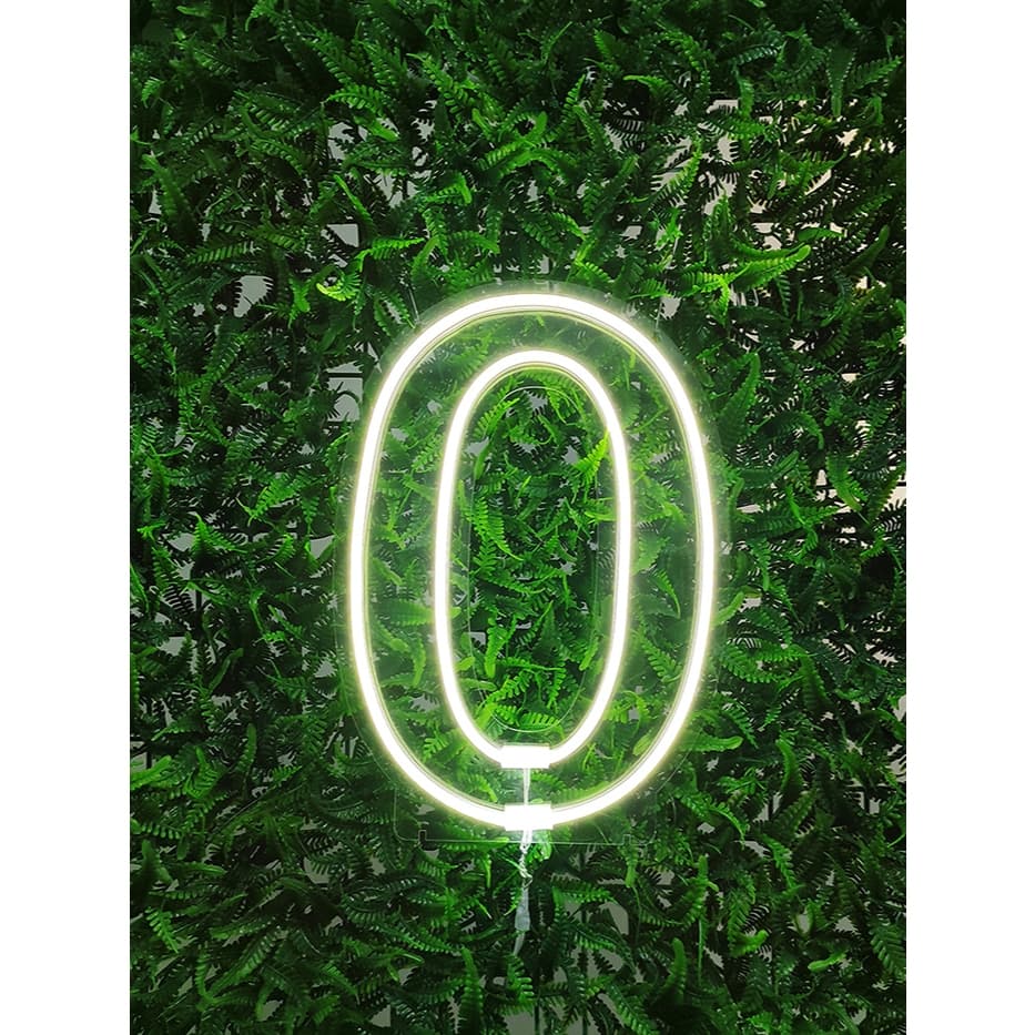 Painel Led Neon Número 0 à 9 Decoração Festas 50cm 110/220v