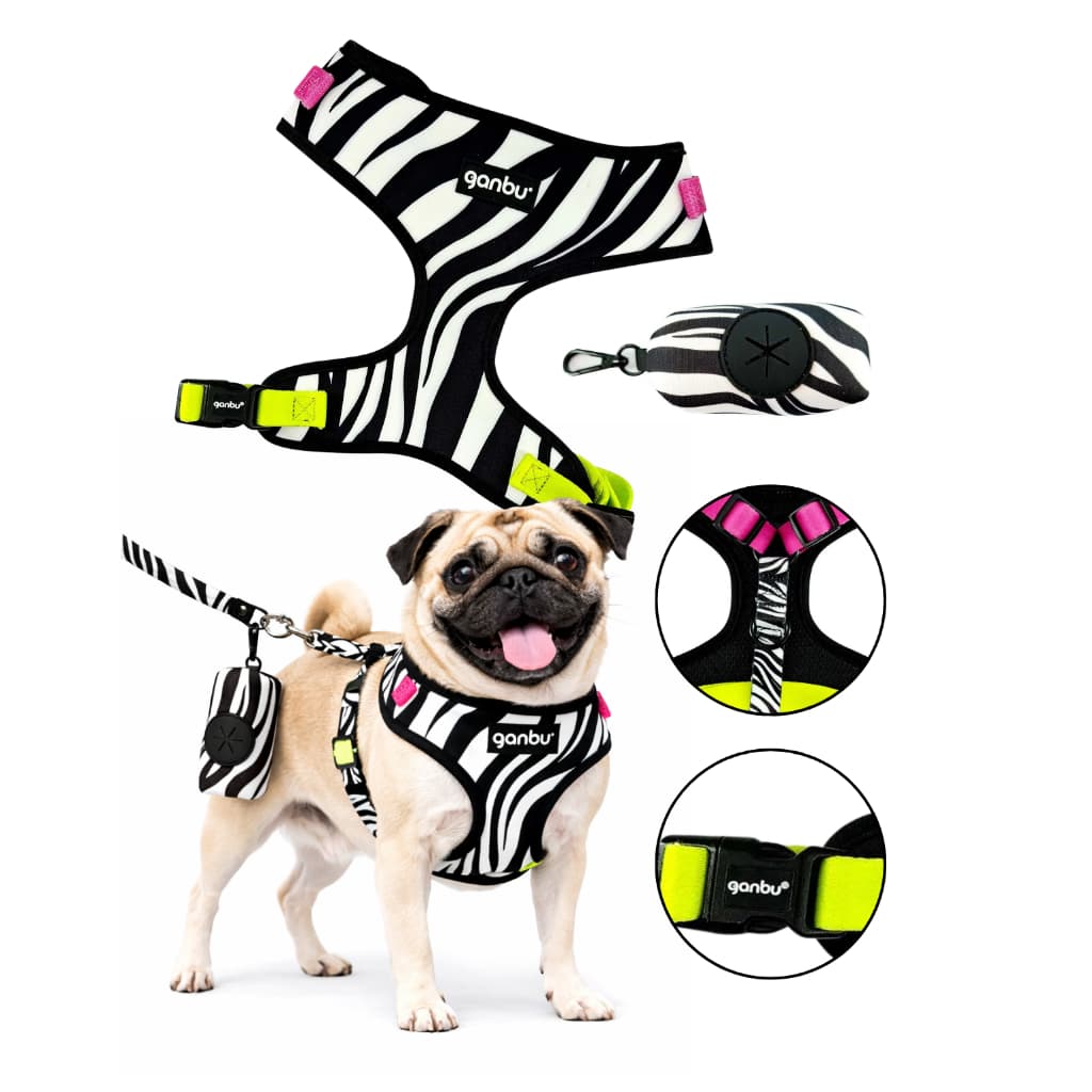 Kit Peitoral Coleira Guia e Bolsa Dog Animal Zebra Ganbu