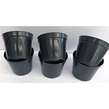 100 Vasos Plástico P/ Cultivo