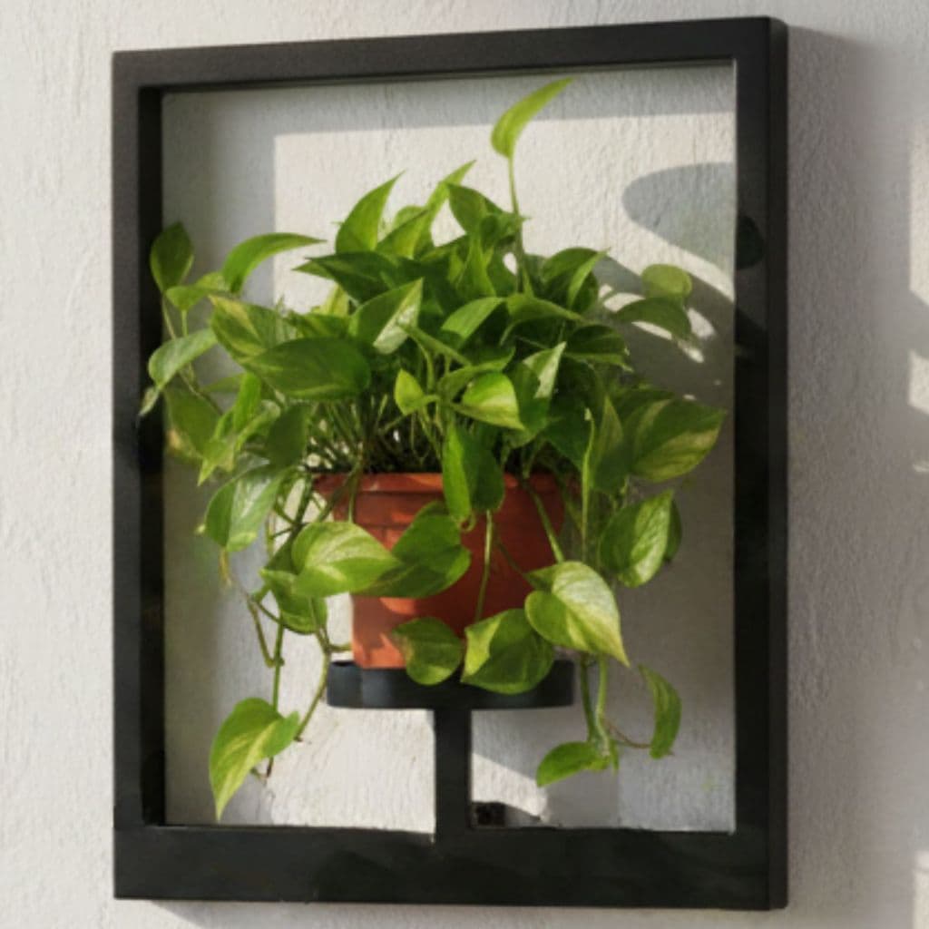 Suporte de Vaso de Parede Quadrado Preto em Aço Decorativo para Plantas | JC Indústria