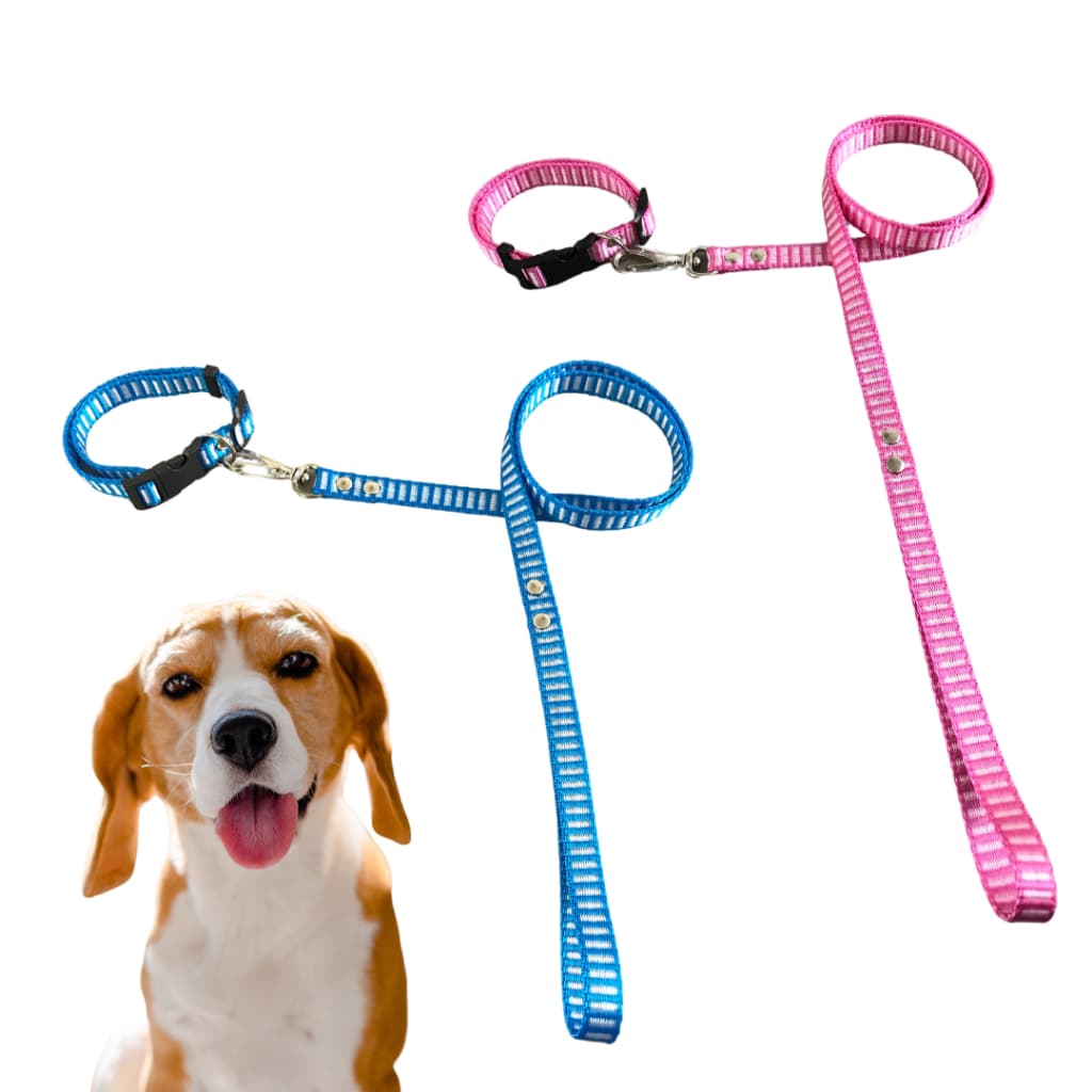 Coleira Para Cães ou Gatos pet raças pequenas pequeno porte com Guia