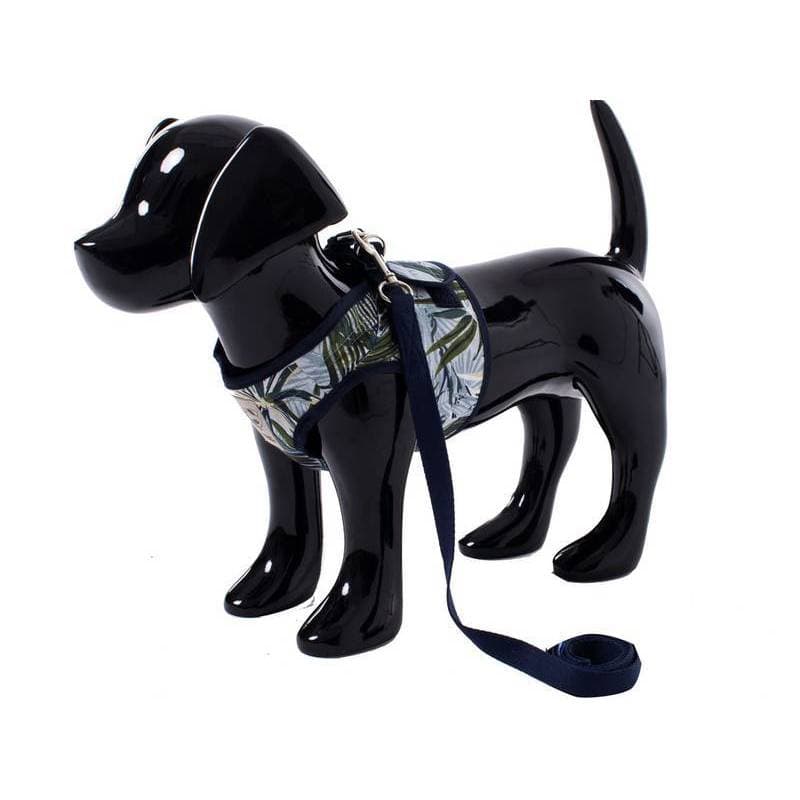 Peitoral para Cachorro Valência Emporium Distripet | Peitoral Pet para Passeio, Caminhada e Controle do Cão