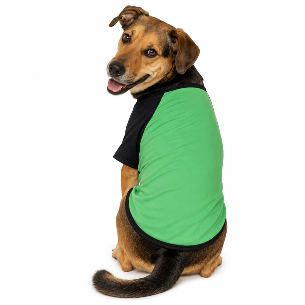 Blusa Raglan Canina Roupa Pet Camiseta Cachorro Esportiva