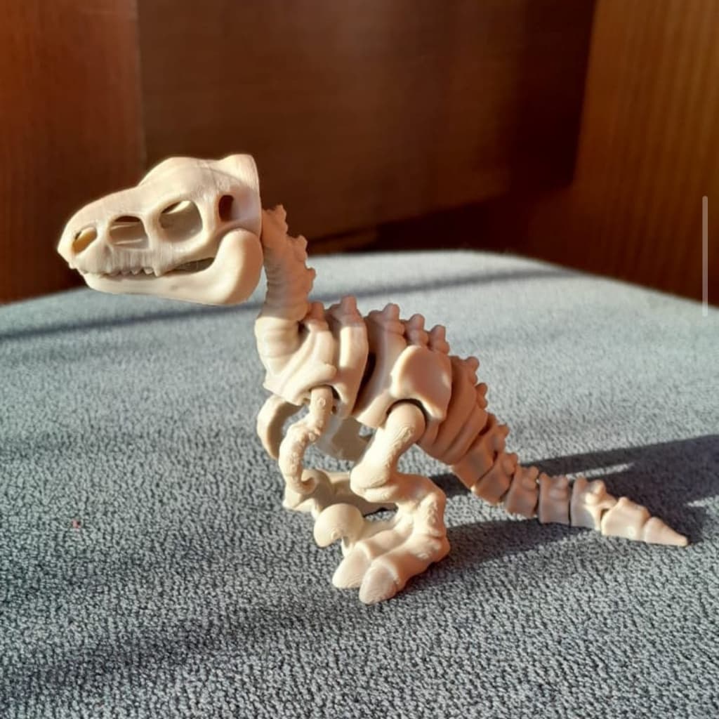 Dinossauro Velociraptor Articulado Fóssil Esqueleto 3D