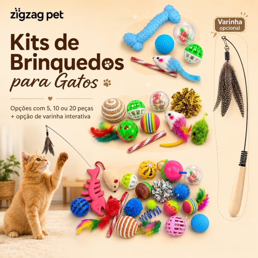 Kit 5/10/20 Brinquedos para Gatos Varinha Bolinhas Ratinhos Penas Modelos Sortidos