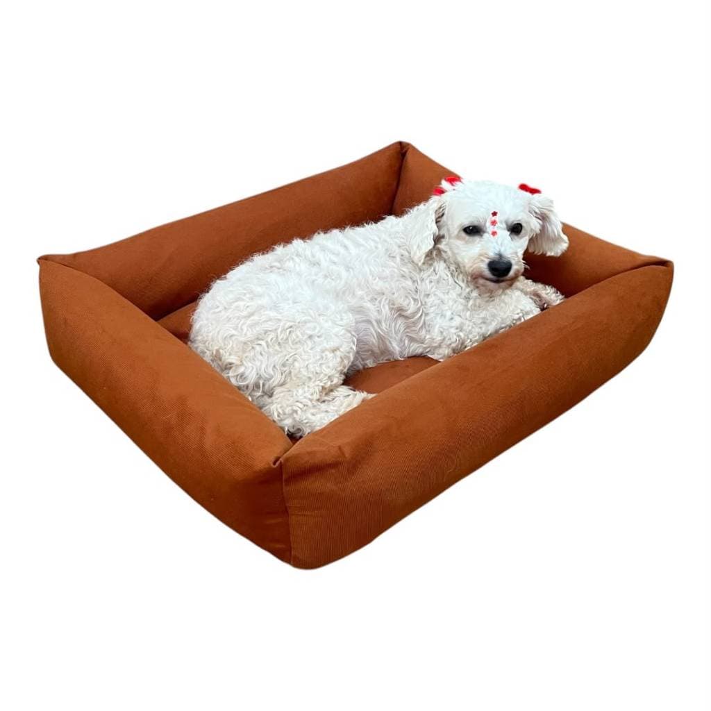 Caminha De Cachorro Suede M 60x50 Confortável Lavável Zíper