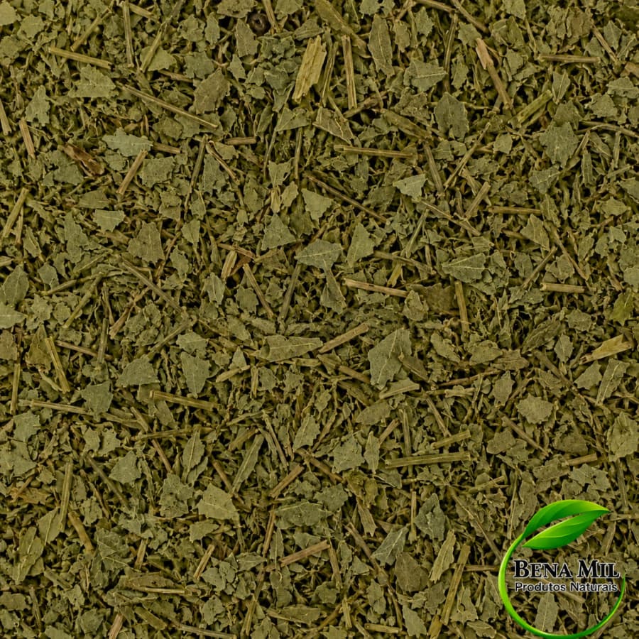 Eucalipto Folhas 1kg / 500g Alta Qualidade