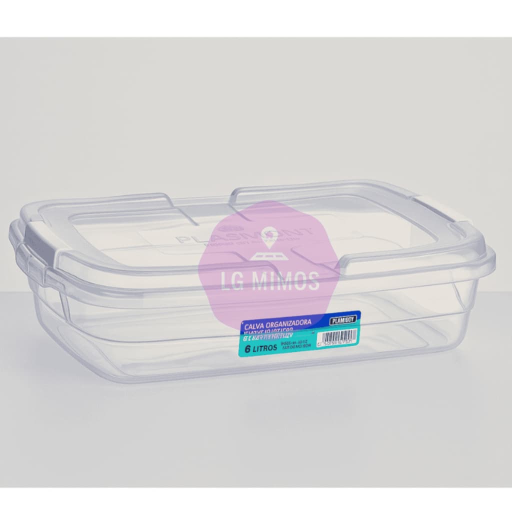 Kit Caixa Organizadora Transparente 6 Litros Com tampa e Travas