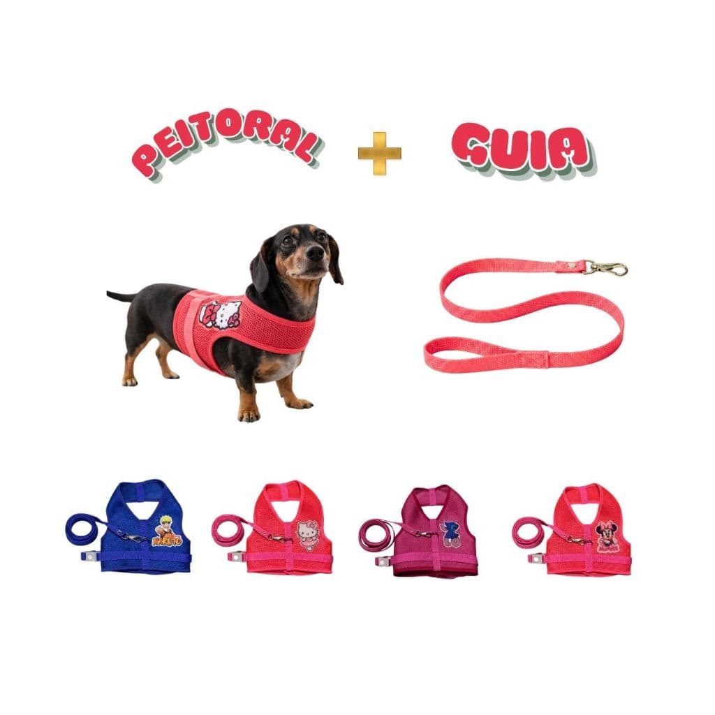 Coleira e guia Peitoral para cachorro pequenos e médios peitoral colete confortável personalizado