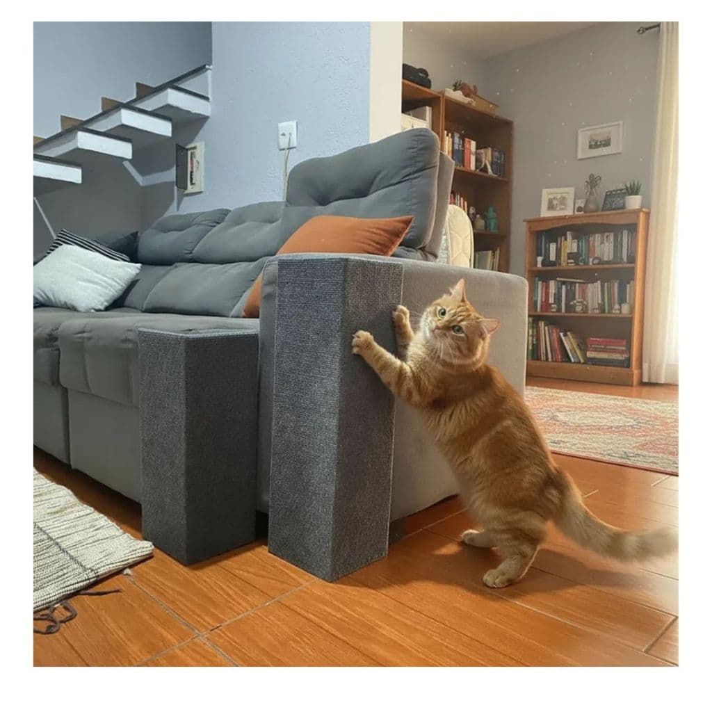 Arranhador De Gatos Protetor Para Móveis 2 Un