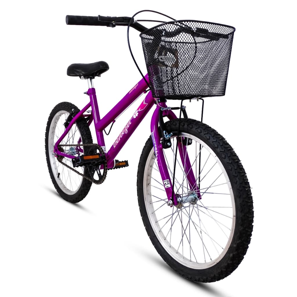 Bicicleta Infantil Criança Infanto-juvenil Aro 20 DNK Com Cestão Passeio Ello Bike Freio V-Brake