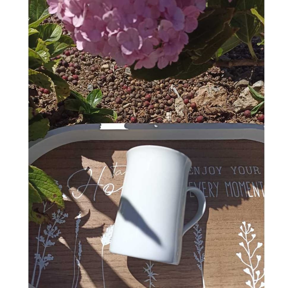 Caneca de Porcelana Schmidt Original 200ml Branca | Primeira Linha | Resistente Elegante | Envio Rápido Modelo Chocolate