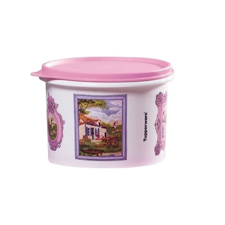 Porta Mantimentos Tupperware Caixa Tela 1,1 L