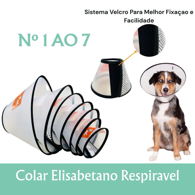 Colar Elizabetano Para Cães Pet Premium - Cirúrgico N1 ao N7