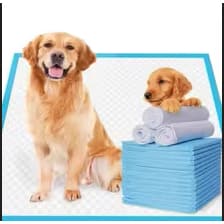 Tapetes Super Absorventes para Treinamento de Cães, Fraldas Descartáveis de Secagem Rápida