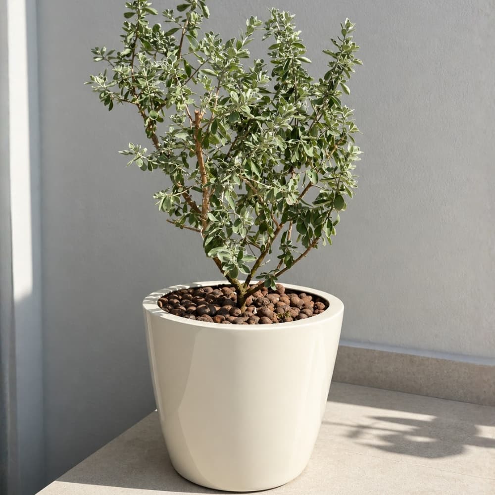Vaso De Fibra De Vidro Roma PP 30cm Brilhantes e Foscos Decorativo