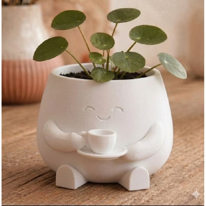 Vaso de plantas decorativo ideal para beleza do seu lar fazendo seu ambiente mais agradável e belo
