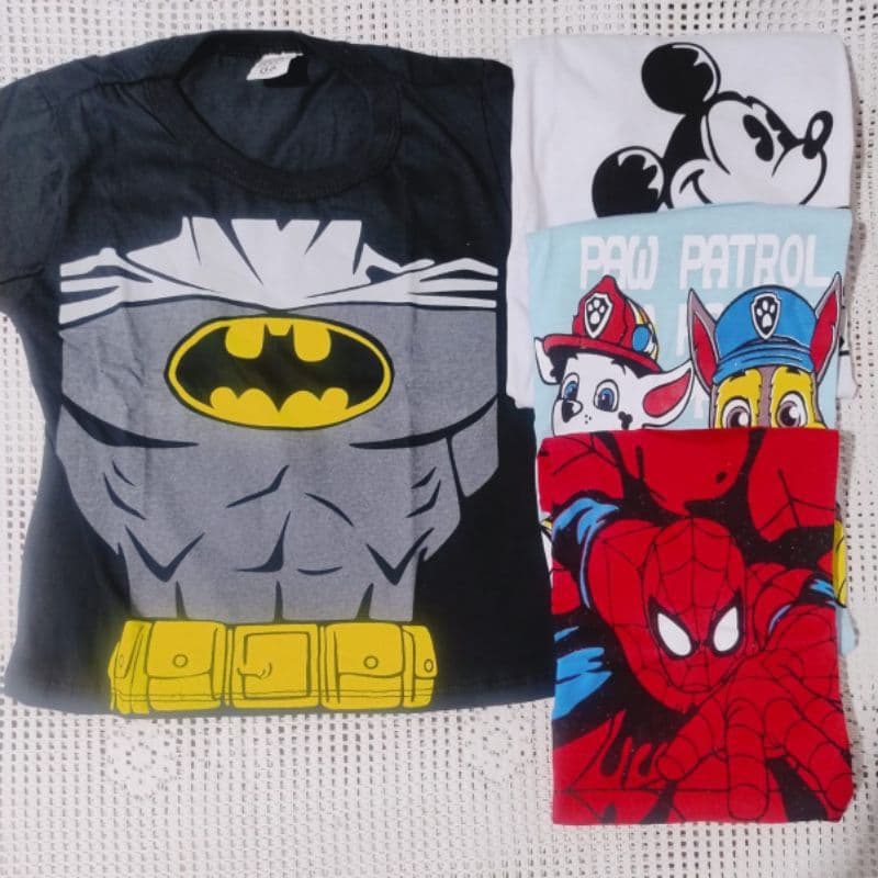 Blusa Manga Longa Infantil Personagens tamanhos 2.6.8