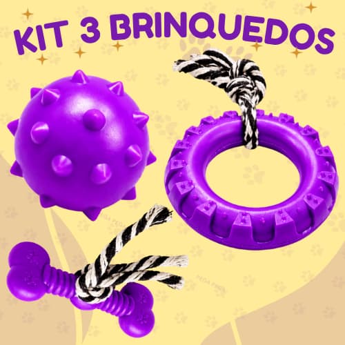 Kit 3 Brinquedos Neon Cachorro Mordedor Bola Corda Pneu Pet