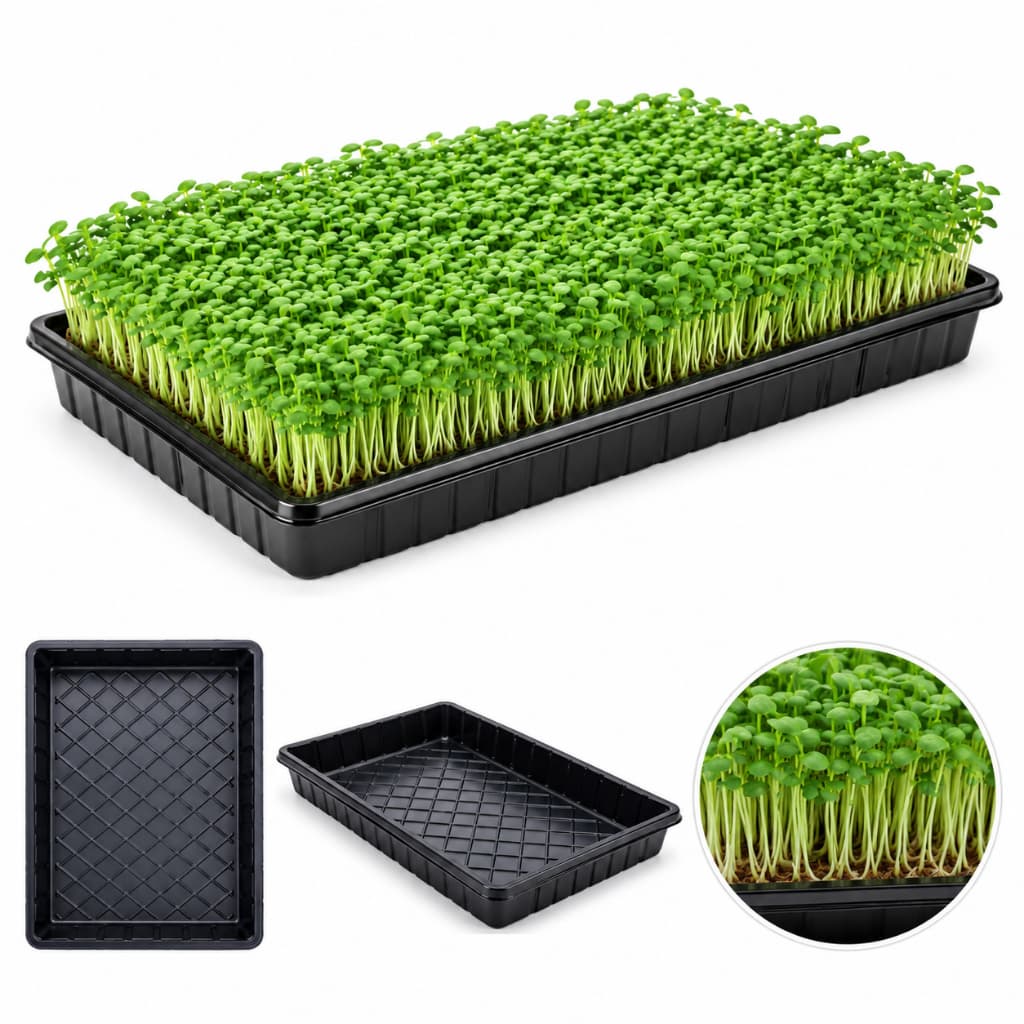 Bandeja Plana Base De Germinação - 01 Peças