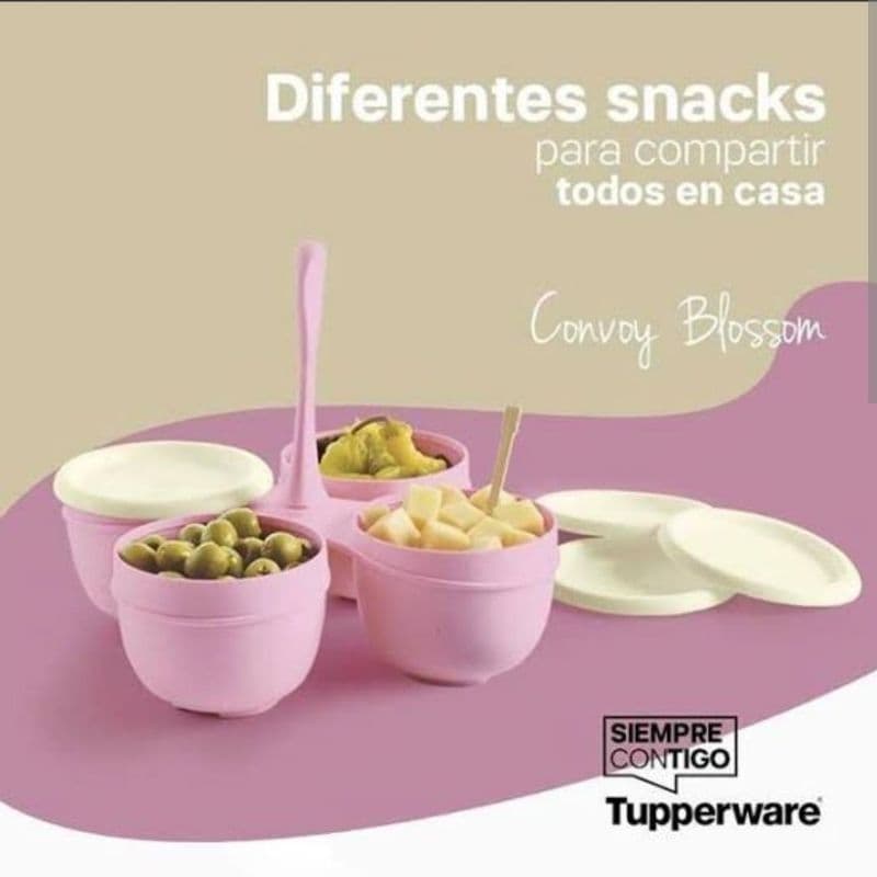 Porta petiscos e molhos da Tupperware Importado, porta condimentos Original