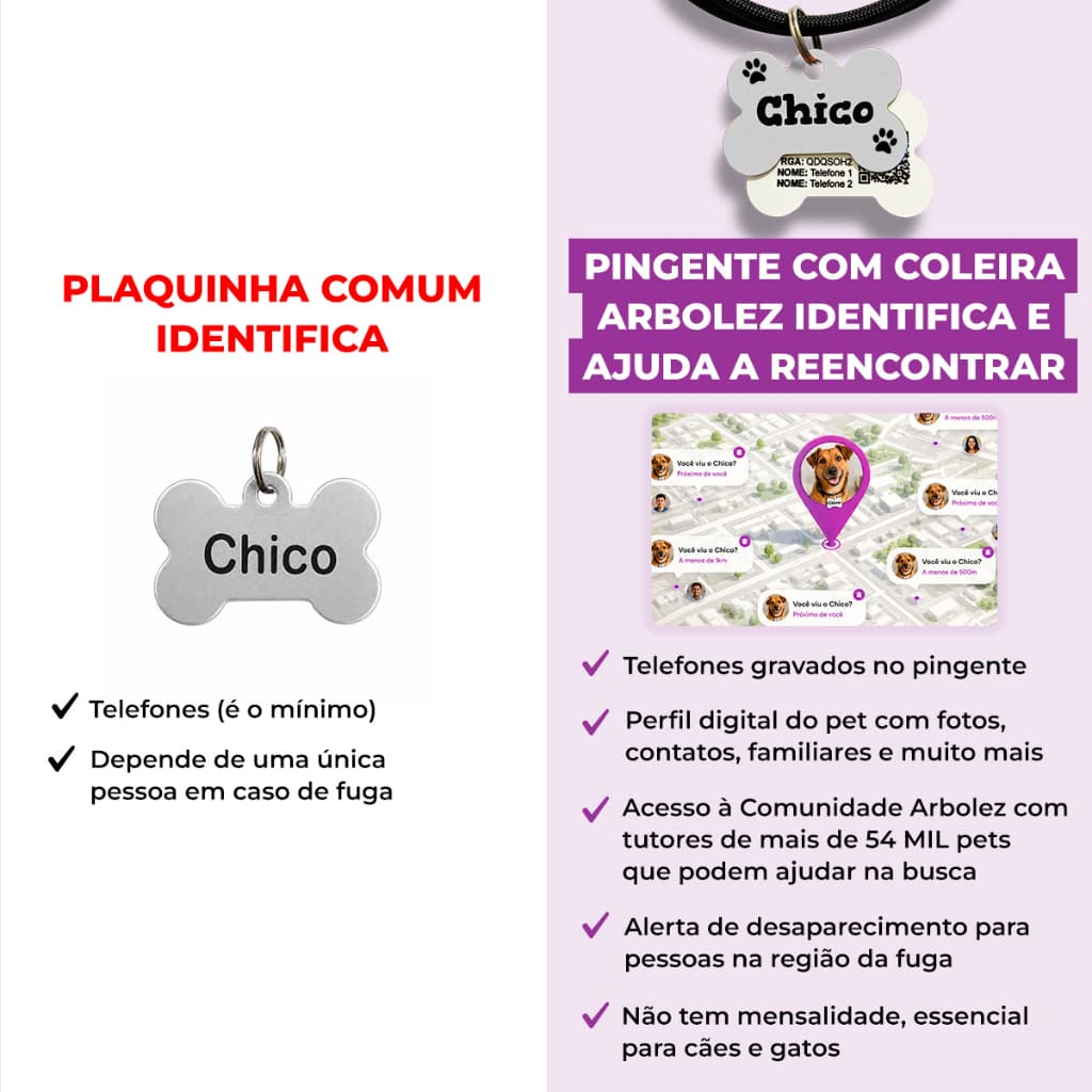 Coleira Colar Ajustável com Placa de Identificação Pet Cachorro Gato