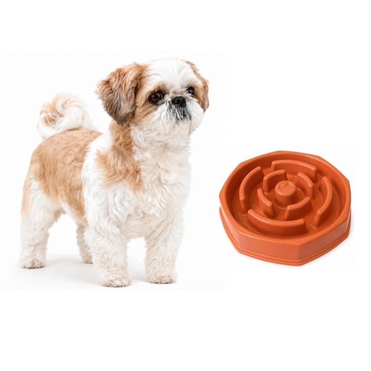 Comedouro Lento Educador Interativo para Cães Plastico laranja 25 cm
