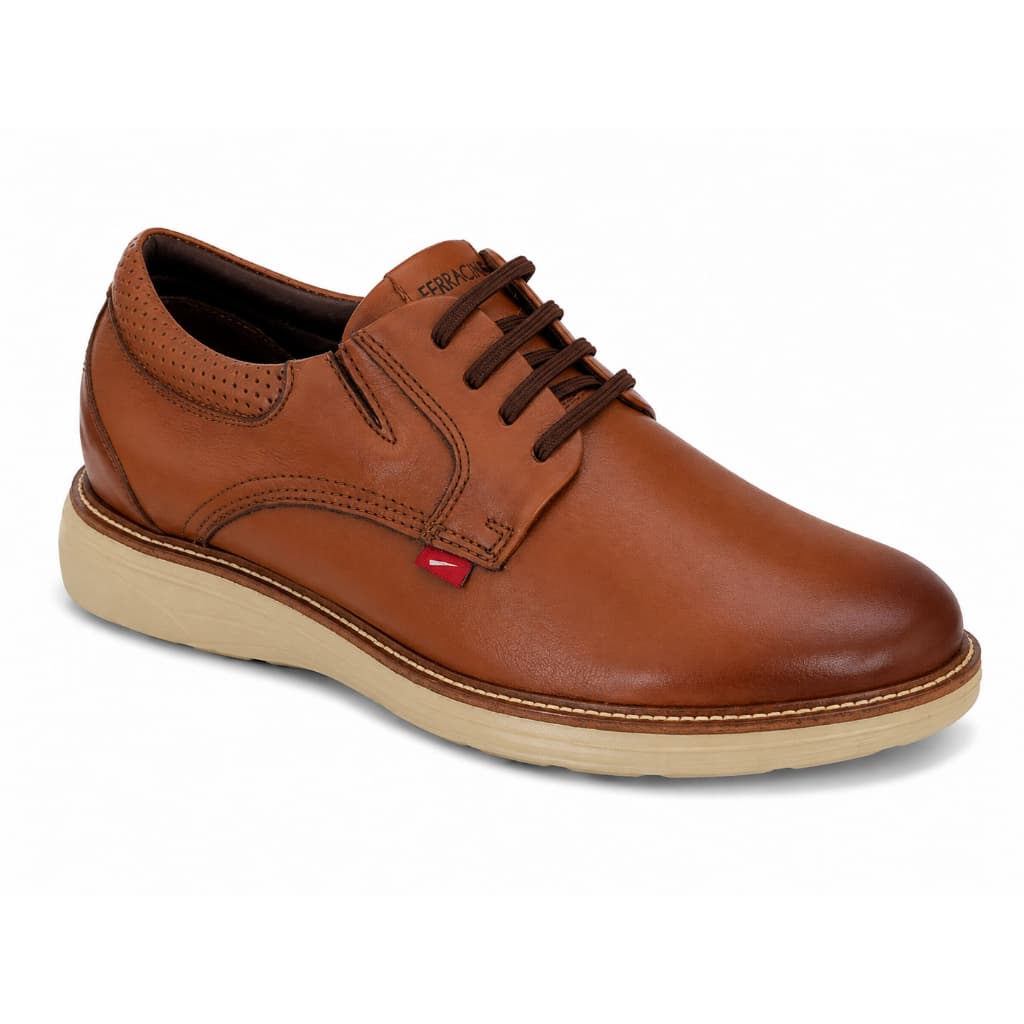 Sapatênis Ferracini Masculino Couro Casual Varios Modelos