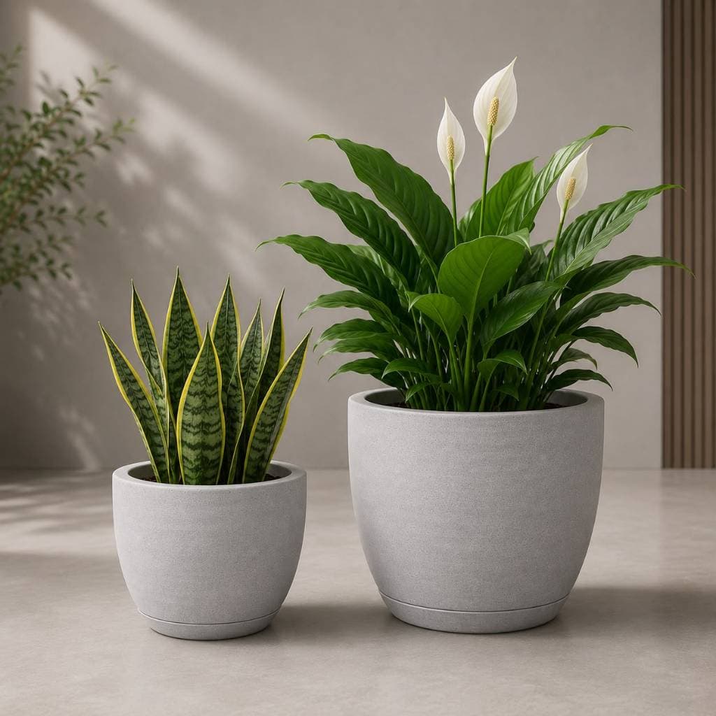 Kit 2 Vasos para Planta Polietileno Bojo Escovado com Prato Coletor Jardim Casa Decoração Varanda