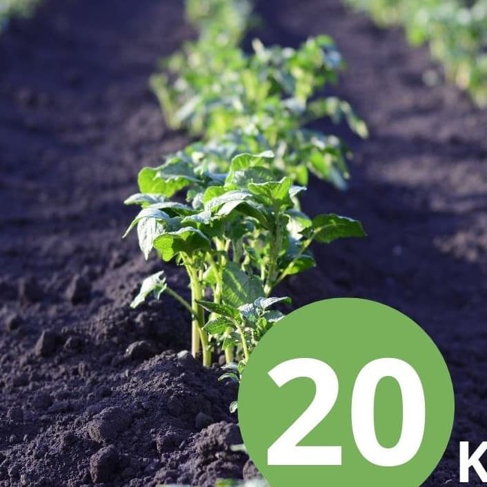 Até  20 kilos Terra Adubada Orgânica natural Horta/ Flores