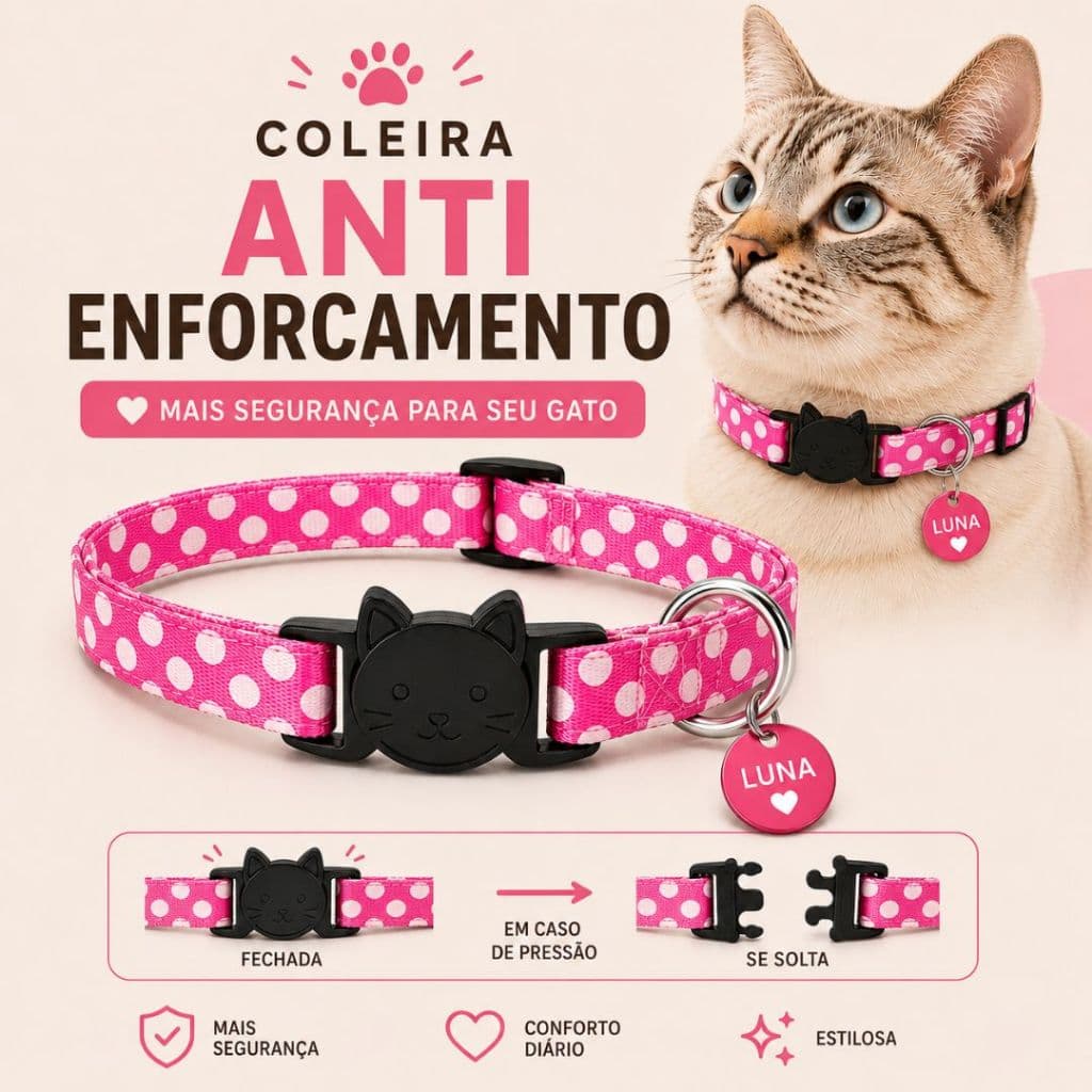 Coleira Anti-enforcamento para Gato Ajustável com Fecho de Segurança e plaquinha de identificação