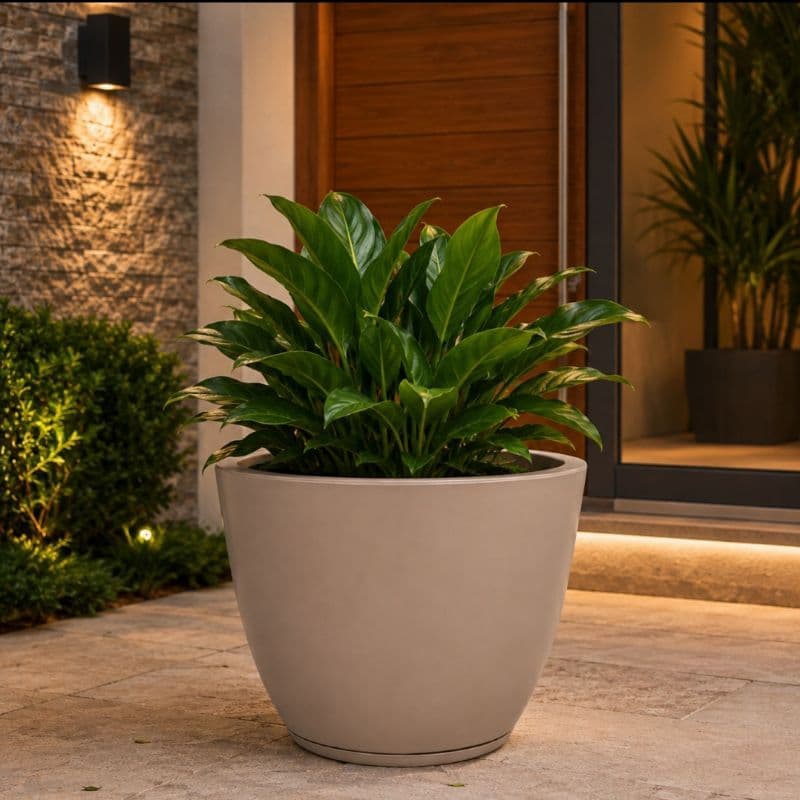 Vaso Grande 42x49cm Para Plantas | Bojo Liso Luxo em Polietileno Premium Resistente Jardim Casa Empresa