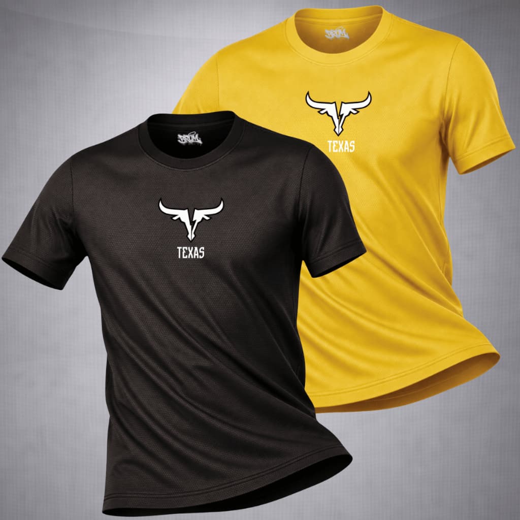 Kit 2 Camisas Masculinas DriFitness Camiseta Estampa Academia, Treino, Corrida Cores Variadas.