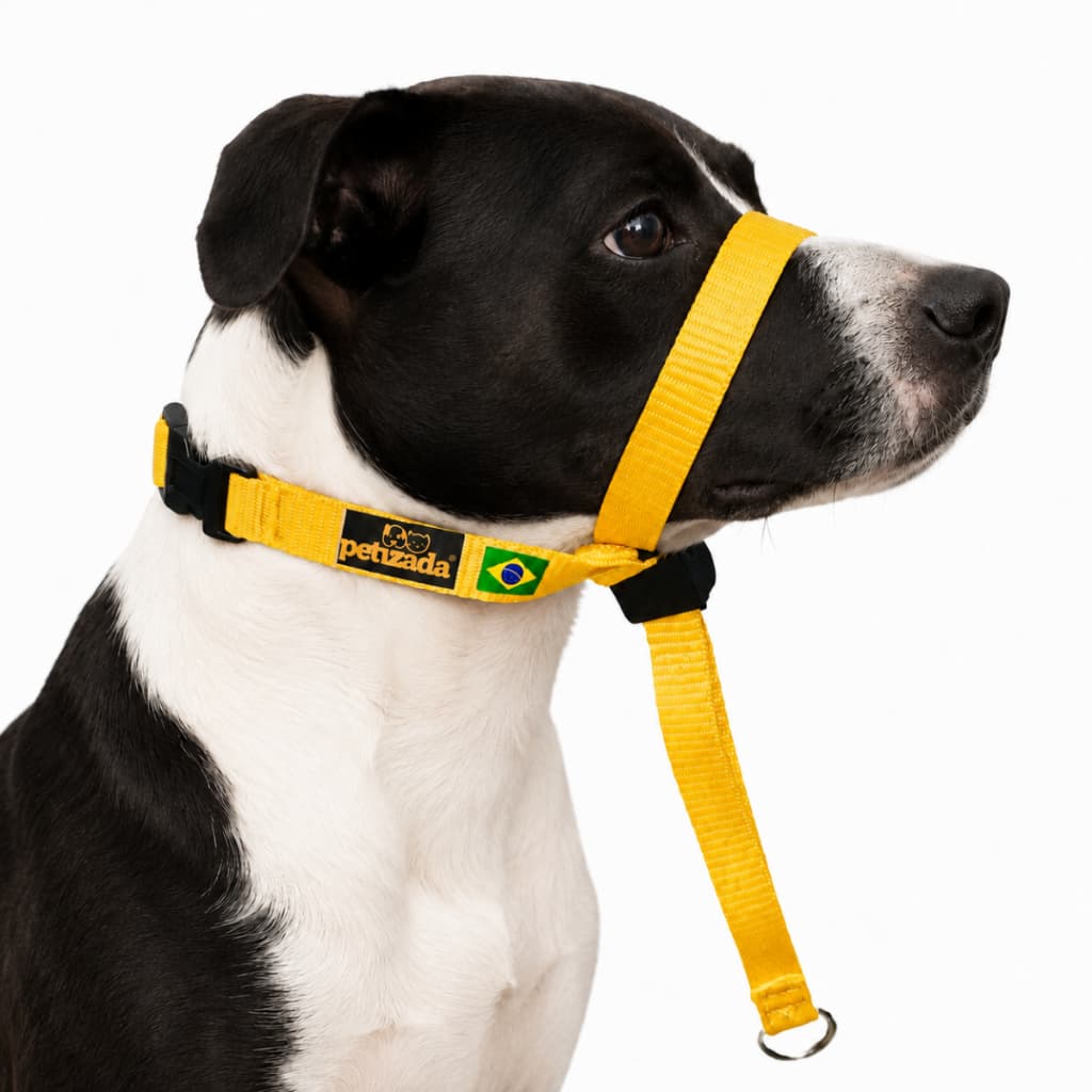 Coleira Cabresto Anti Puxão Para Cachorro Com Guia Adestramento Ajustável Com Trava
