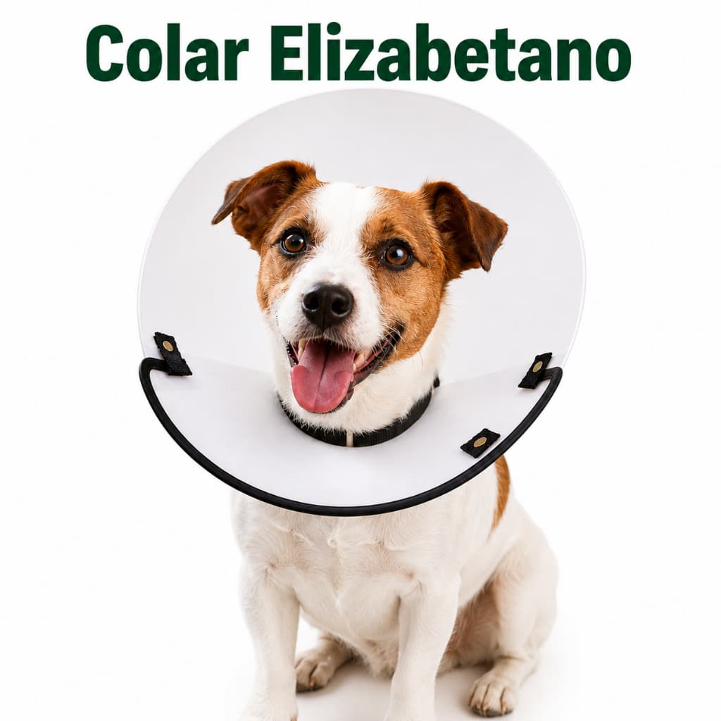 Colar Elizabetano Pós Cirúrgico Cães e Gatos Proteção Contra Lambidas Mordidas e Coceiras, cone