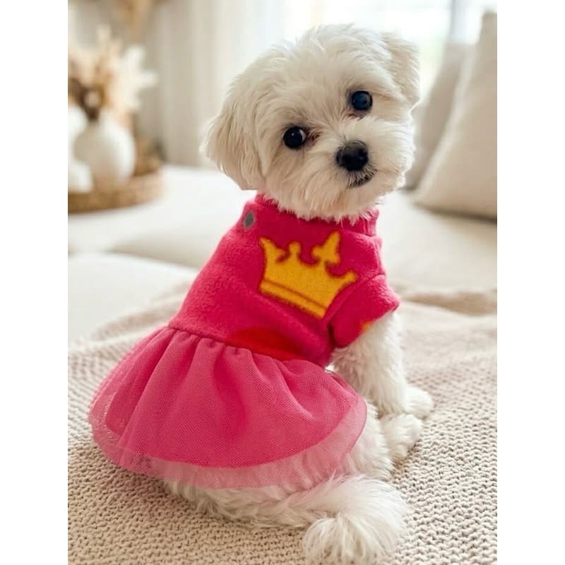 1 Vestido pet  Premium - Com dois foros e muito brilho, muito confortável- seu pet vai amar. Roupa pet- Roupinha pet.
