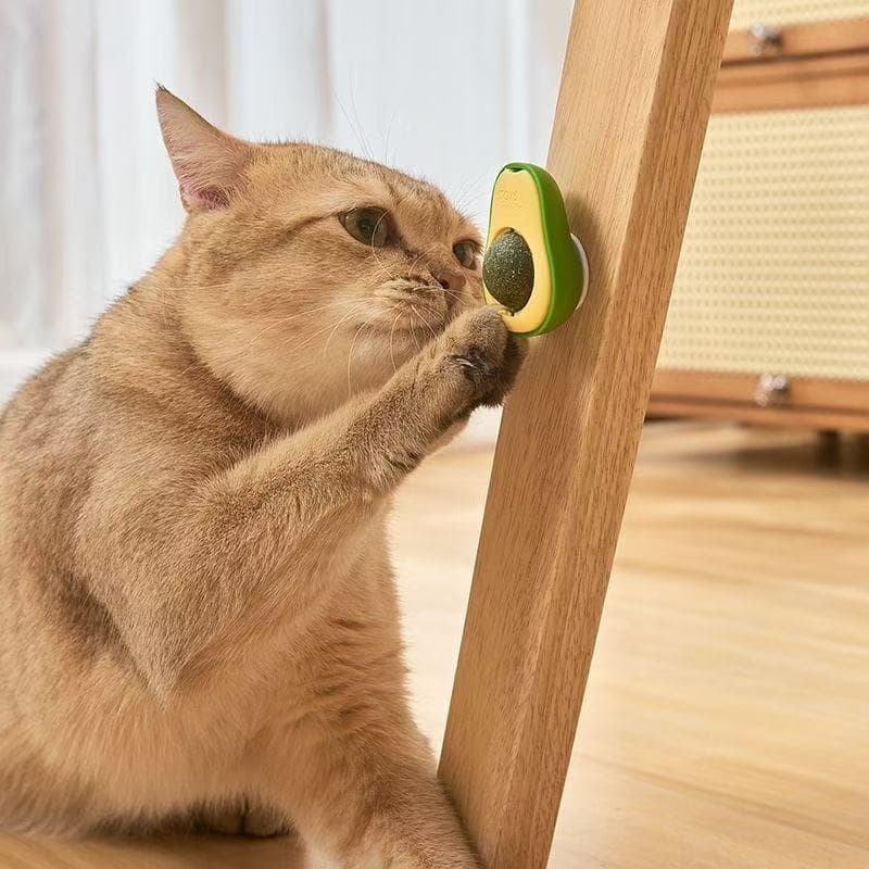 Brinquedo para Gatos Bola de Catnip Abacate Interativo Limpa Dentes Anti Estresse Pet