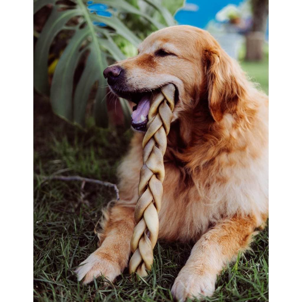 Kit 2un Mordedor Natural Para Cães Natuka Trança Sem Pelos Cachorro G