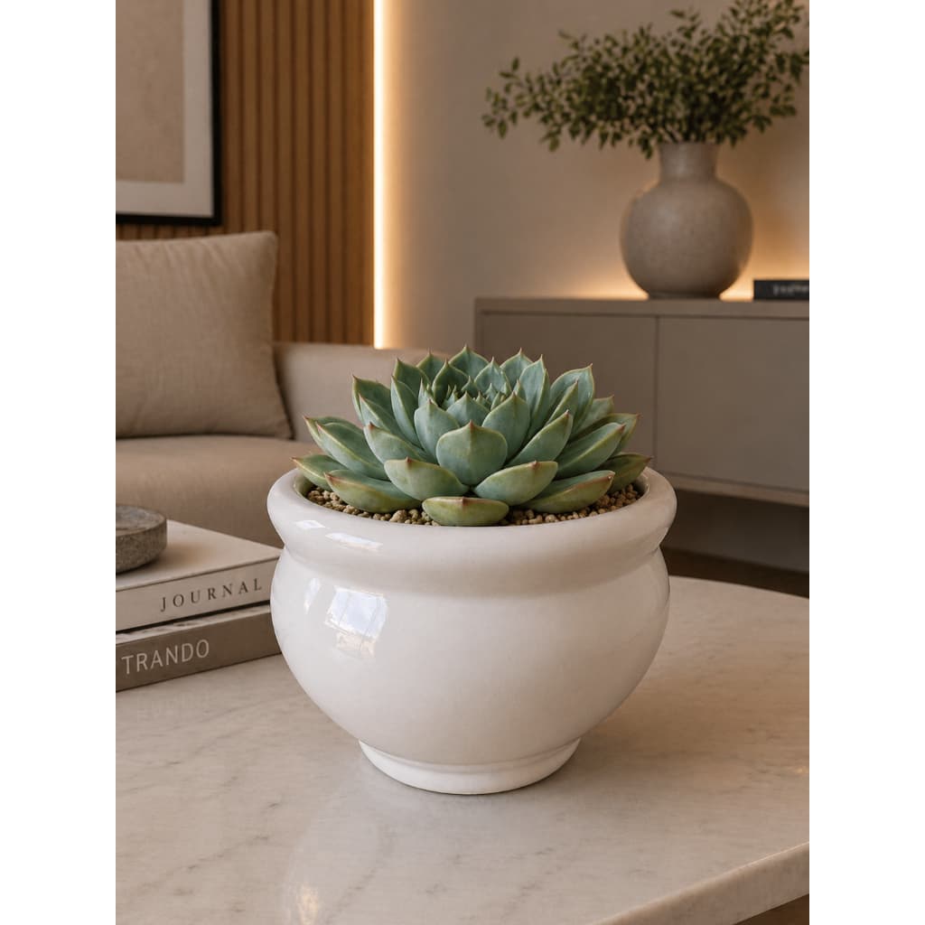 Vaso Cachepot  branco Redondo Liso Esmaltado Cerâmica Decorativo Suculenta Violeta