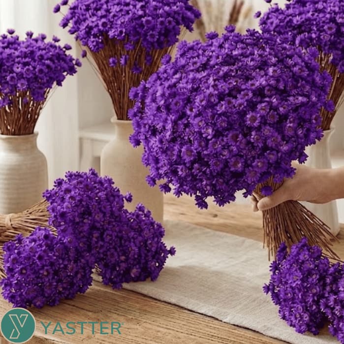 Flor Sempre Viva 200/400/800 Flores Secas e Desidratadas - Cor Roxo | Decoração, Arranjo e Buquê