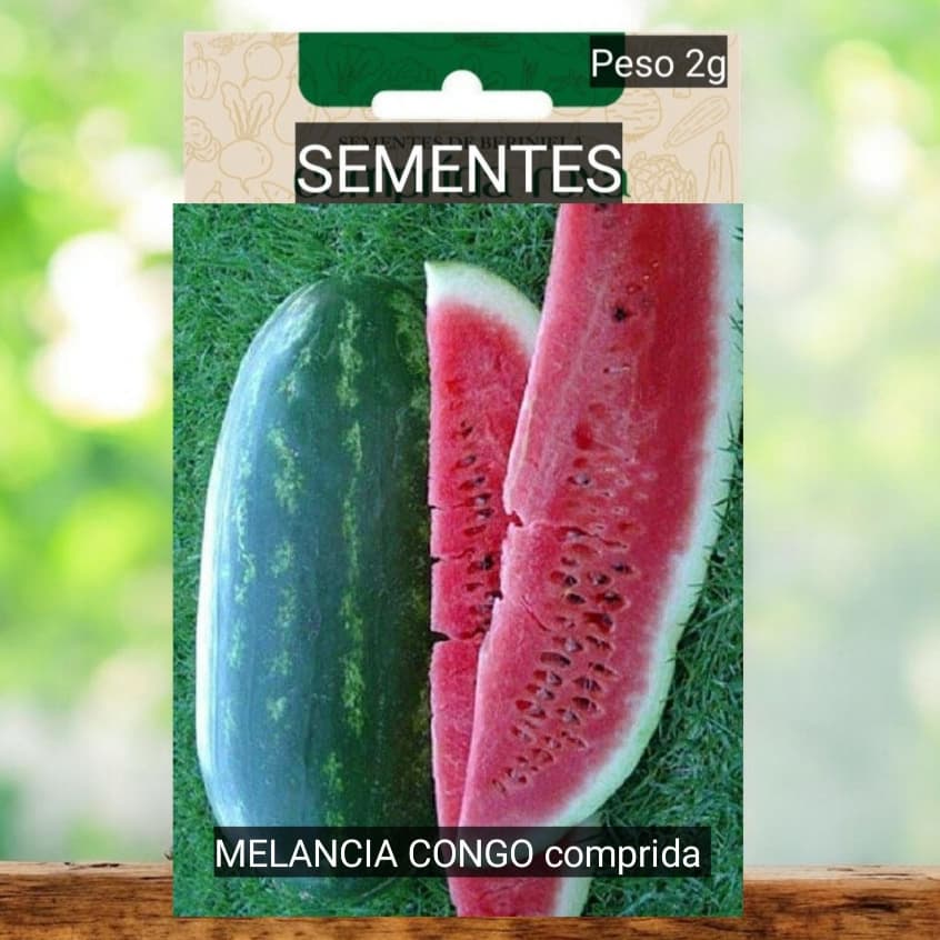Kit SEMENTES  MELANCIA Cumprida Nativa Doce plantar HORTA Vaso sítio OFERTA