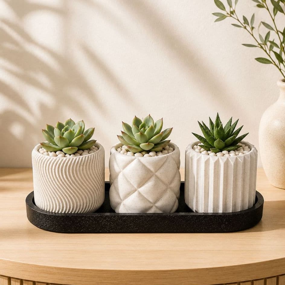Kit 3 Vasos para Suculentas com Base | Decoração Moderna Minimalista