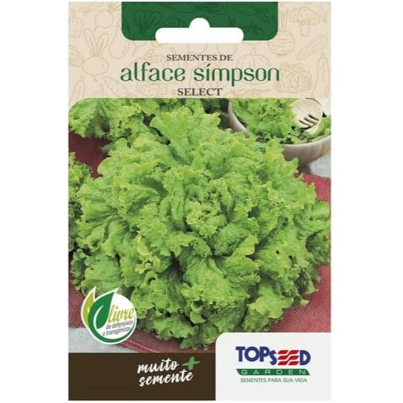 10 sementes alface simpson select