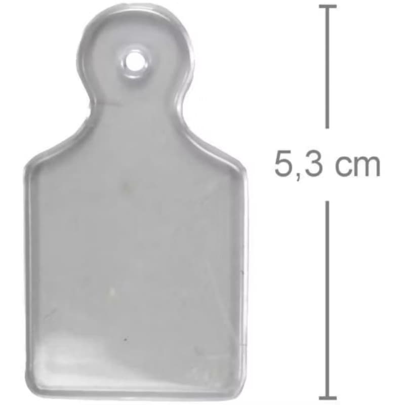 Tábua de Carne Plástica Transparente Pequena 10 un Lembrancinha Chá de Cozinha