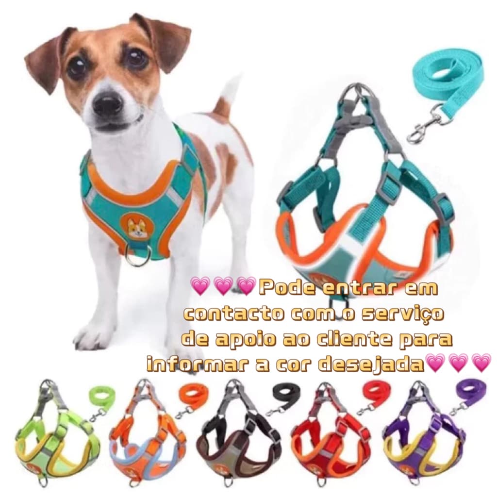Dog and Cat Harness, Leash Set + Vest Collar for Small and Medium Pets